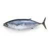 POISSON BONITE 10KG